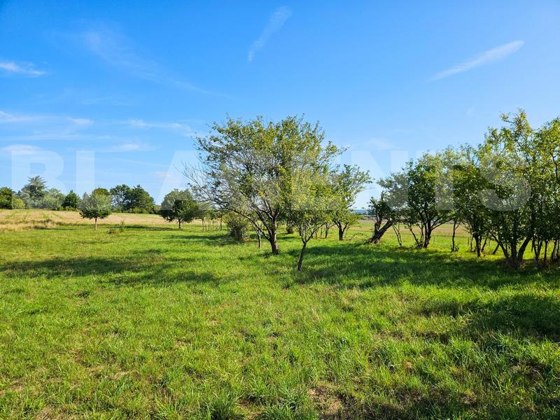 Maison - 179 m² - 7 pièces