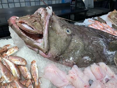 La Poissonnerie de Lattes