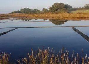 Maison traditionnelle - 110 m² - 8 pièces