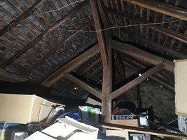 Fonds de commerce - 310 m²