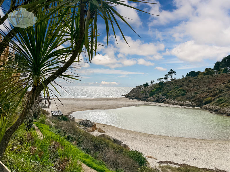 Maison - 145 m² - 7 pièces