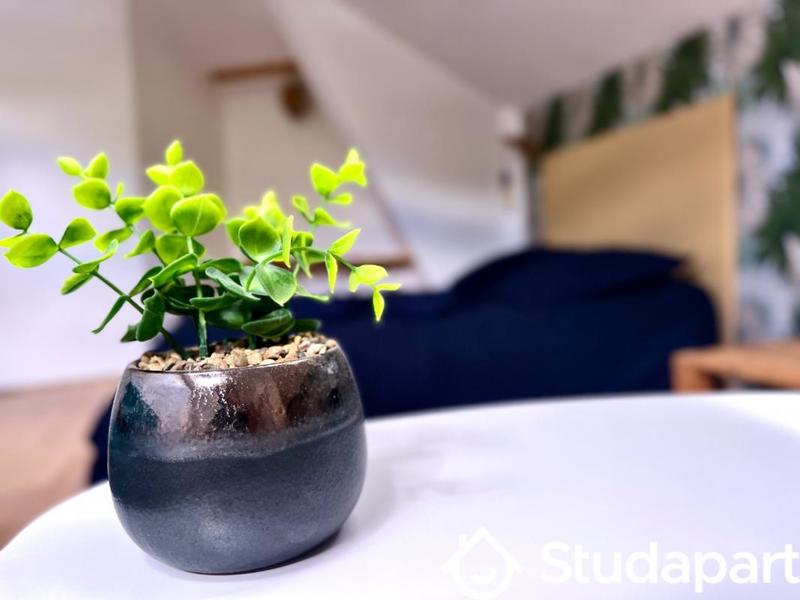 Chambre - 17 m² - 1 pièce