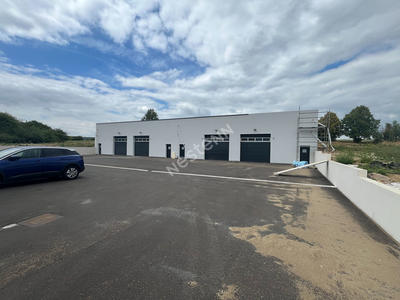 Local d'activité / Entrepôt - 250 m²