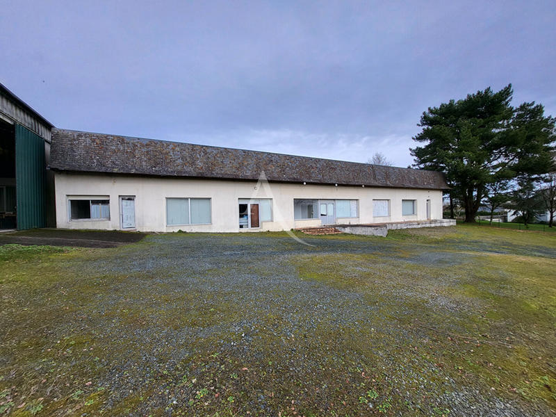 Local d'activité / Entrepôt - 1 035 m² - 8 pièces