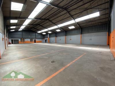 Entrepôt - 603 m² - 3 pièces