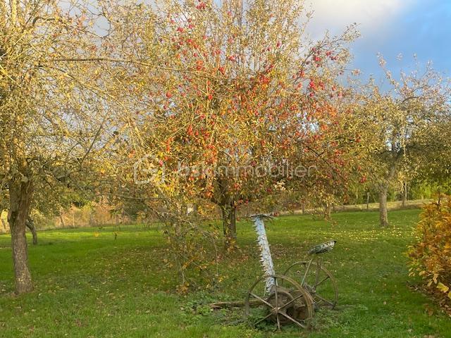 Maison traditionnelle - 184 m² - 9 pièces