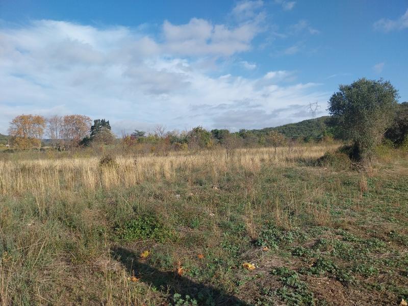 Terrain agricole - 36 175 m²