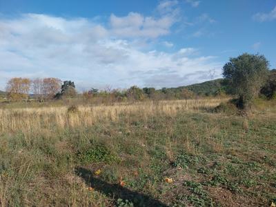 Terrain agricole - 36 175 m²