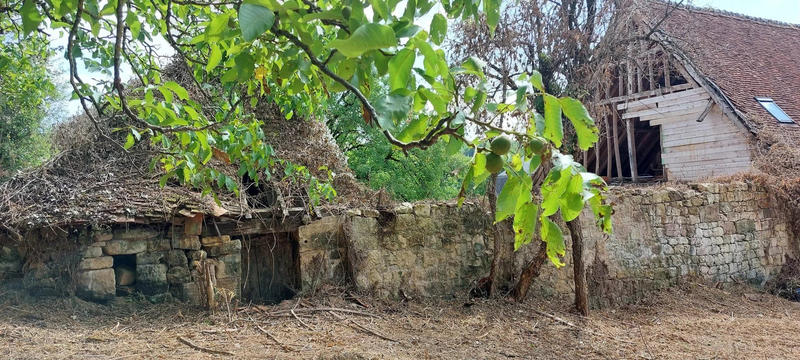 Maison - 125 m² - 1 pièce