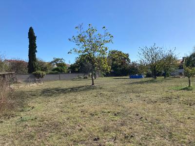 Terrain constructible - 2 000 m²