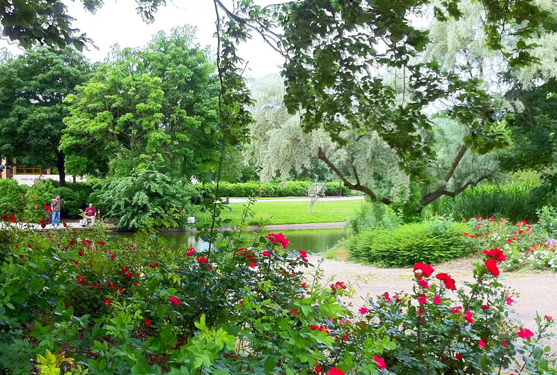 Appartement - 19 m² - 1 pièce