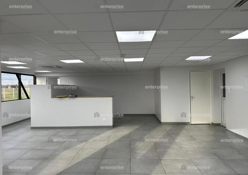 Entrepôt - 4 200 m²