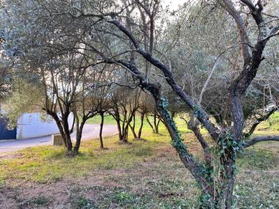 Terrain constructible - 401 m²