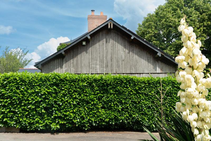 Maison de maîtres - 206 m² - 5 pièces