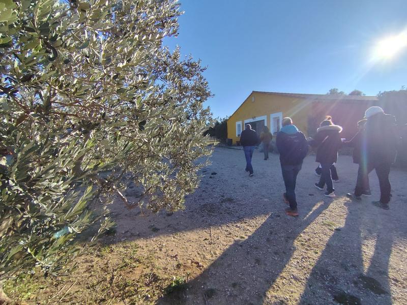 Rencontre avec une oléicultrice au Domaine Plan de Fossan