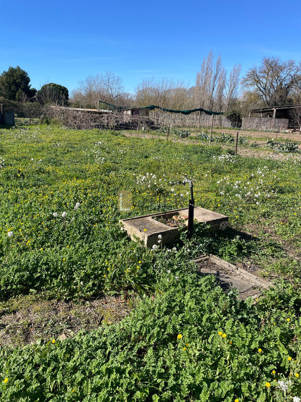 Terrain de loisirs - 431 m²