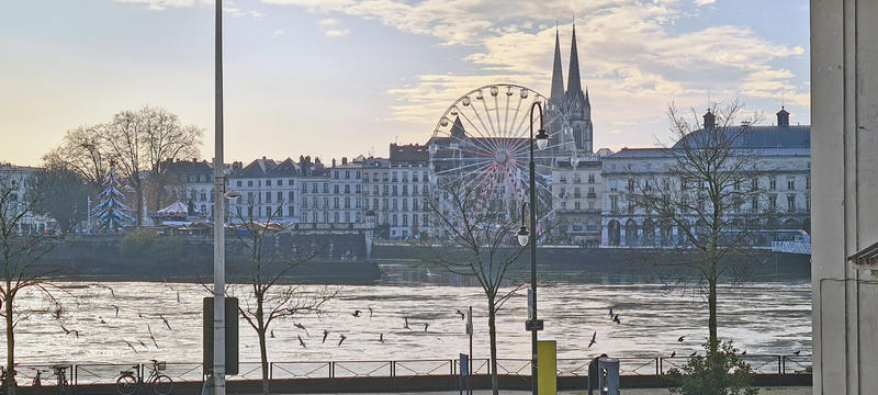 Appartement - 74 m² - 3 pièces