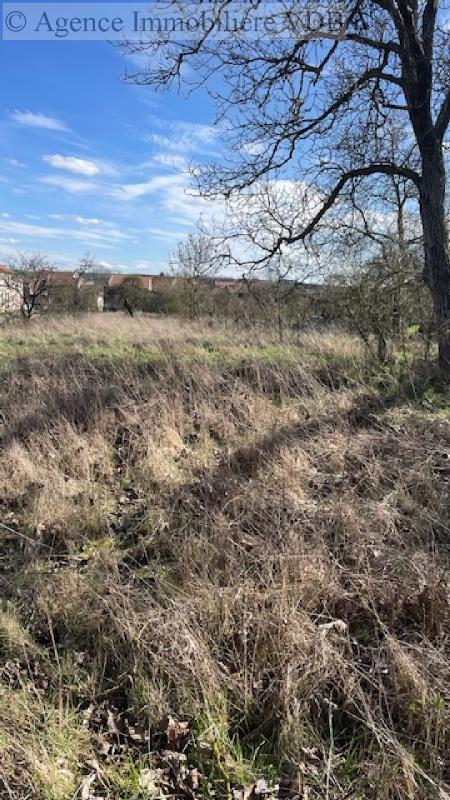 Terrain constructible - 790 m²