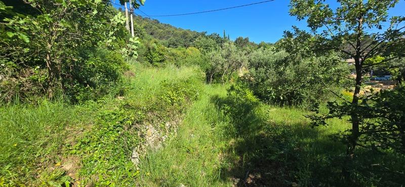 Terrain constructible - 2 000 m²