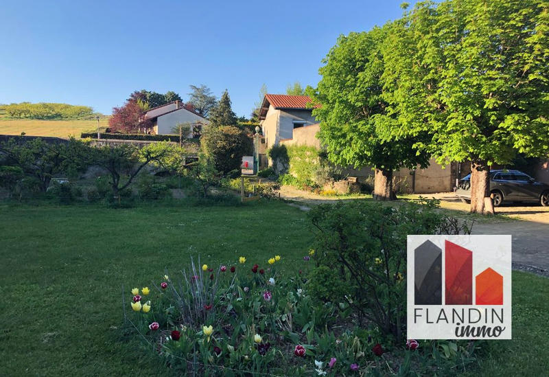 Viager - Maison - 200 m² - 8 pièces