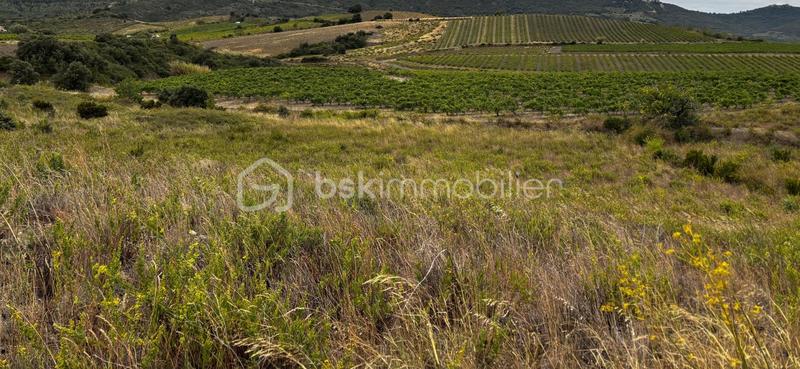 Terrain agricole - 4 685 m²