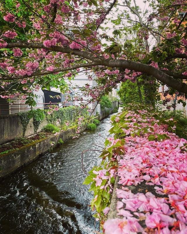 Visite guidée : le centre historique de Cernay