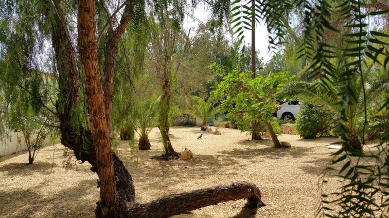 Propriété - 206 m² - 5 pièces