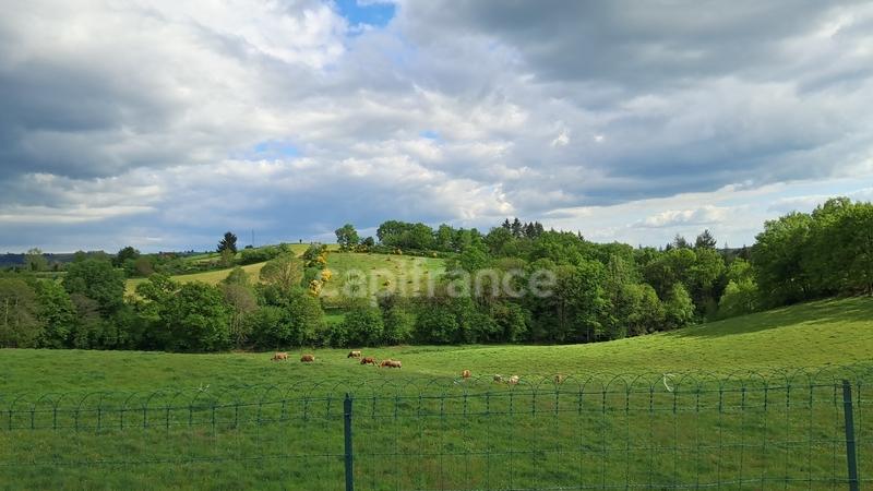 Maison - 340 m² - 16 pièces