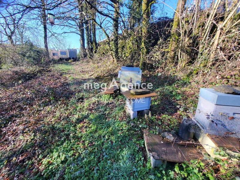 Maison en pierre - 450 m² - 8 pièces