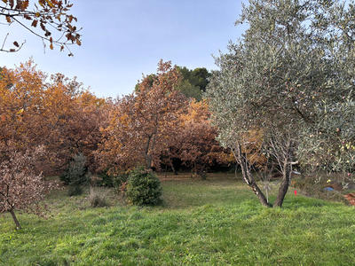 Terrain - 1 175 m²