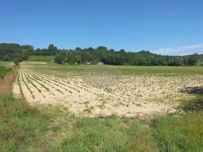 Terrain - 97 000 m²