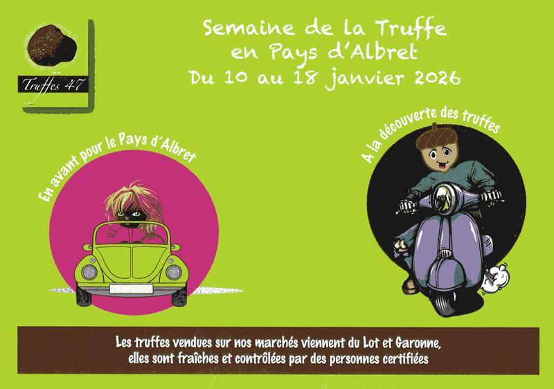 Marché aux truffes