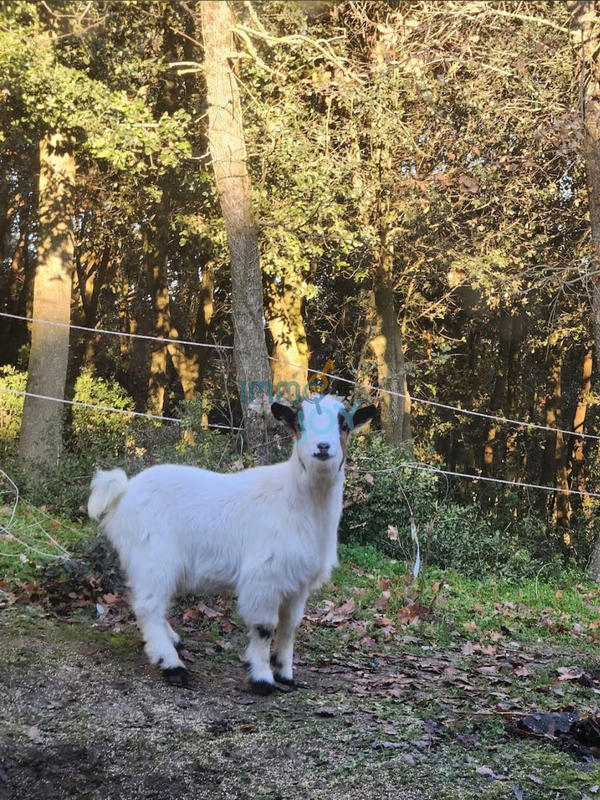 Propriété - 250 m² - 11 pièces