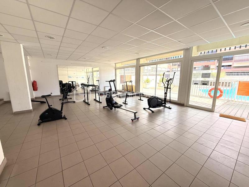 Studio - 19 m² - 1 pièce