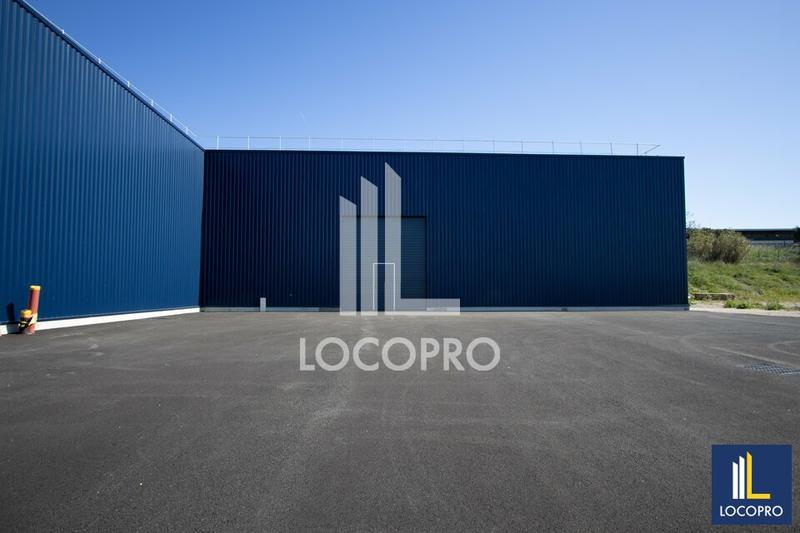 Local d'activité / Entrepôt - 1 255 m²