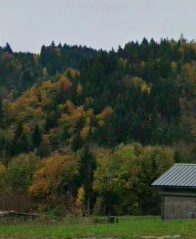 Villa - 100 m² - 4 pièces