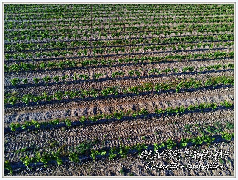 Maison de domaine - 270 m²