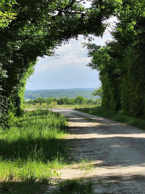 Viager - Maison de village - 100 m² - 7 pièces