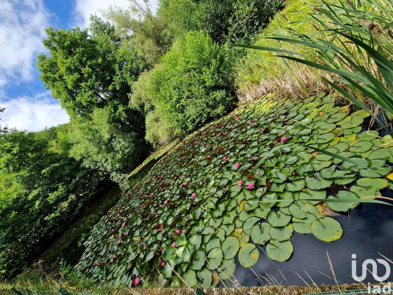 Local commercial - 737 m²