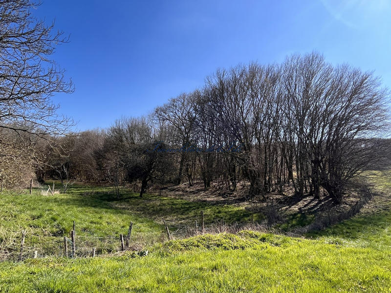 Maison - 233 m² - 8 pièces