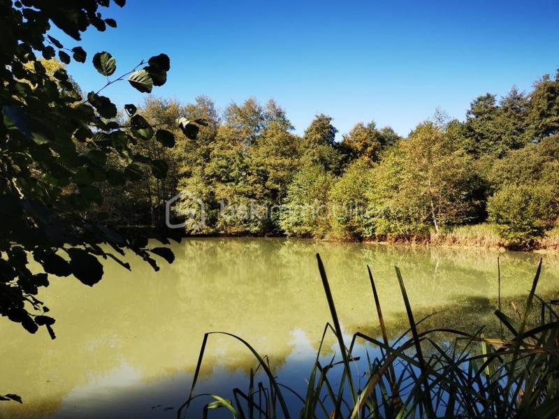 Terrain de loisirs - 26 062 m²