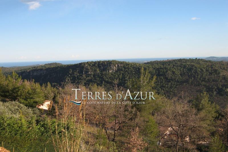 Villa - 263 m² - 7 pièces