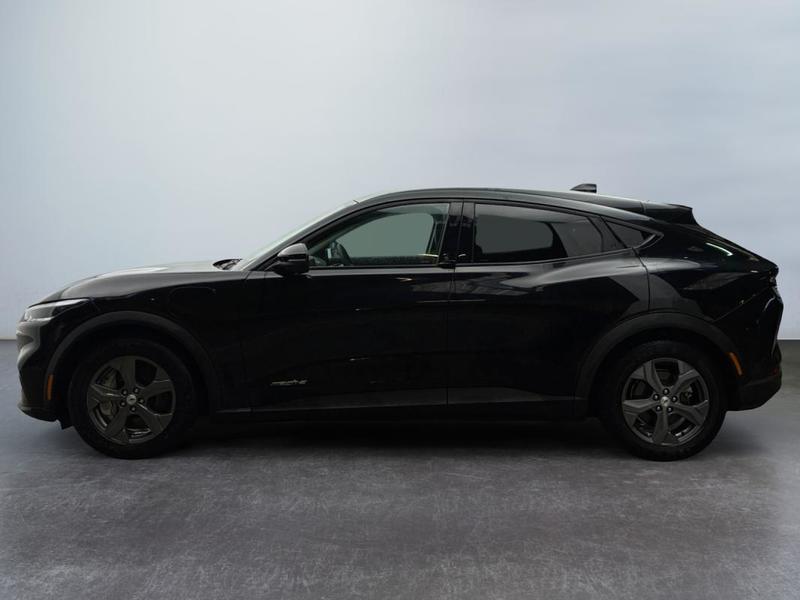 Ford Mustang Mach-E Standard Range 76 kWh 269 ch