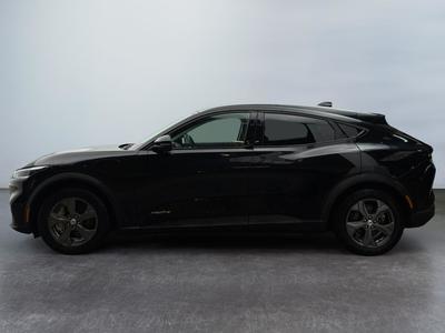 Ford Mustang Mach-E Standard Range 76 kWh 269 ch