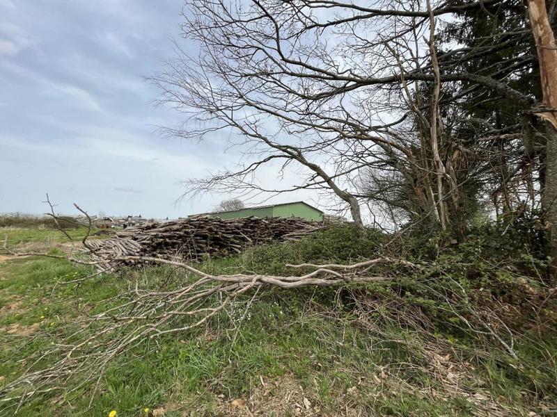 Maison ancienne - 530 m² - 3 pièces