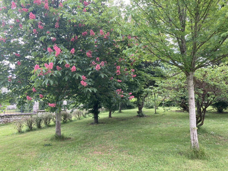 Château - 567 m² - 15 pièces