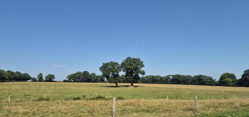 Maison - 101 m² - 4 pièces