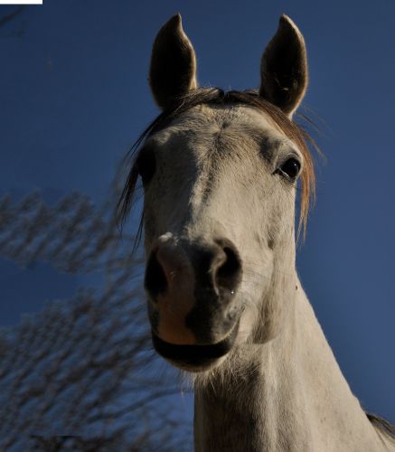 cabinet d'ostéopathie