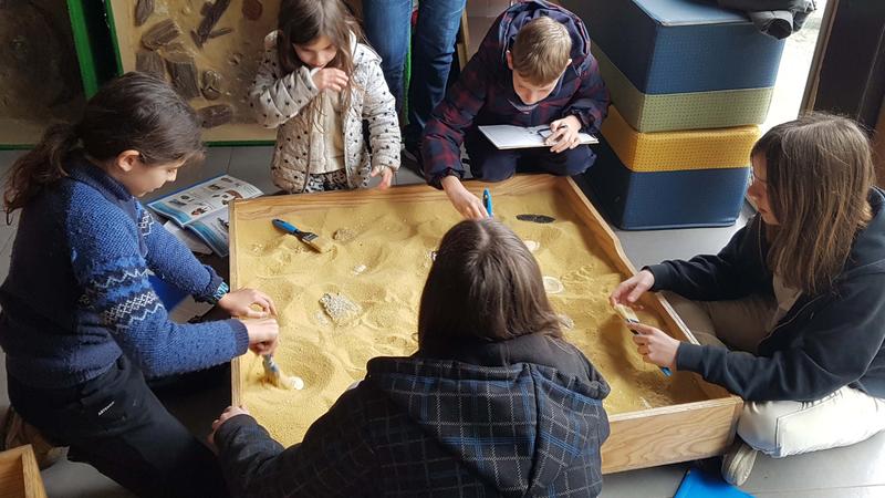 Que nous racontent les fossiles ?