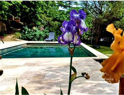 Maison - 600 m² - 12 pièces